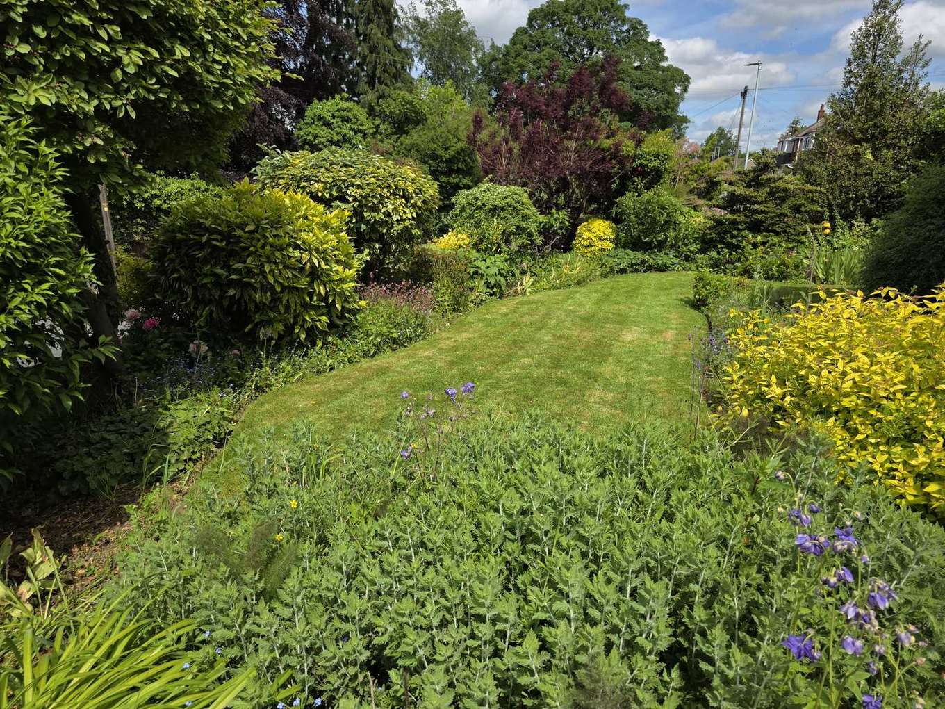 A summer lawn with full borders, mowed clean to the edge