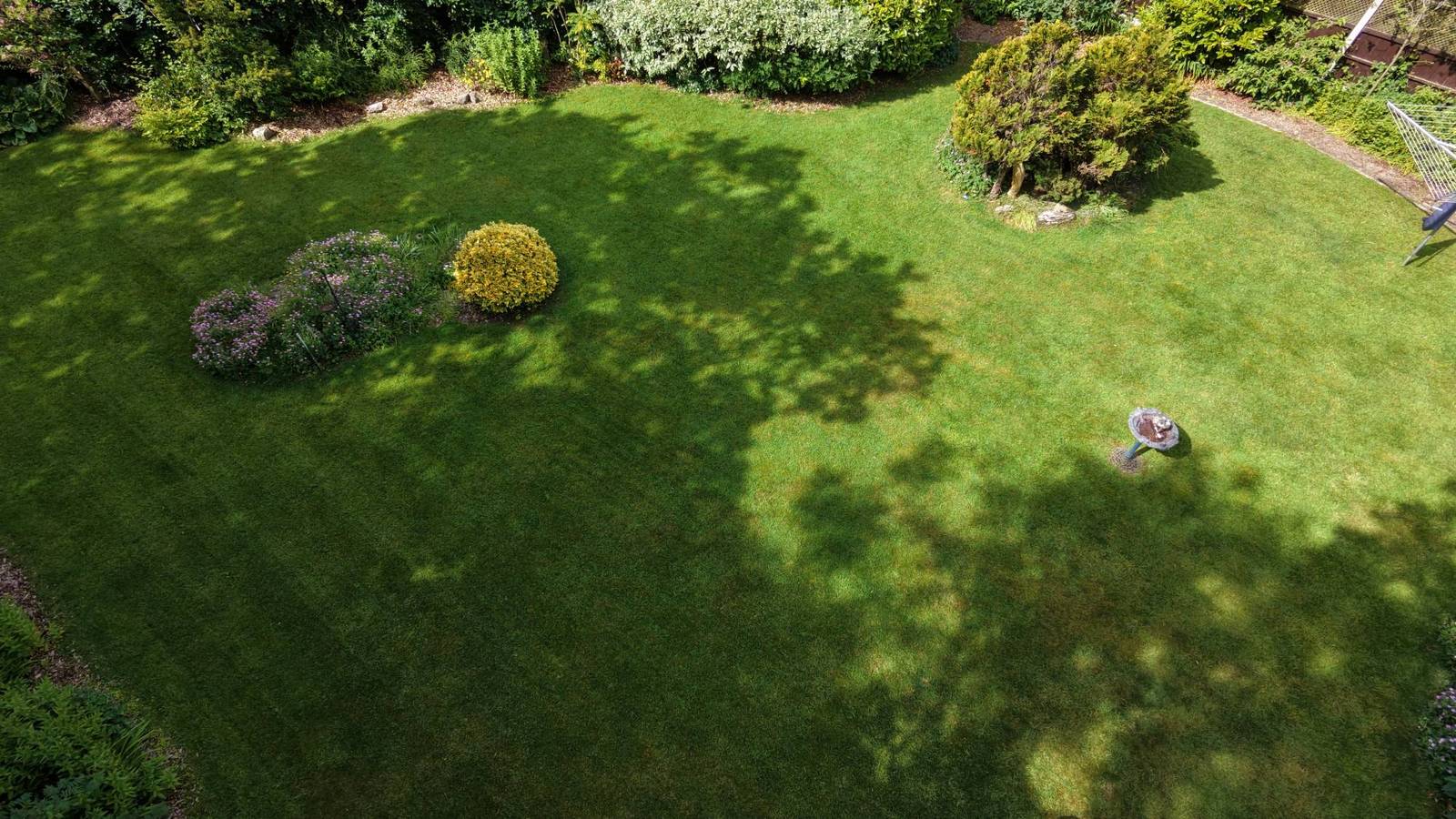 A lawn on my regular round from above, early summer