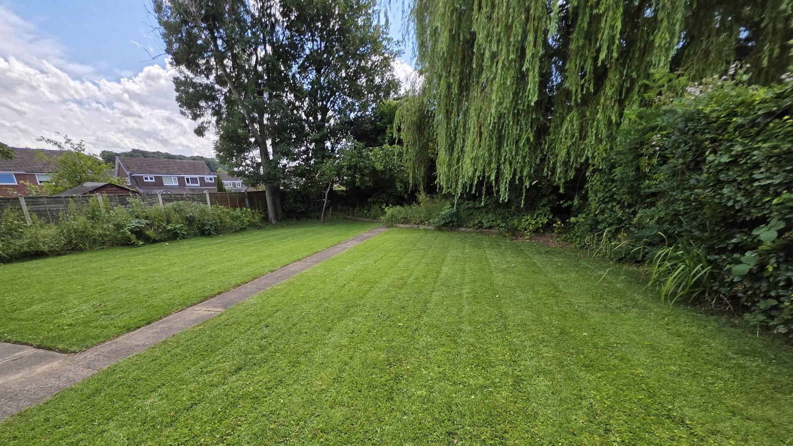 A mature lawn I look after through the season, with a willow at the bottom of the garden.