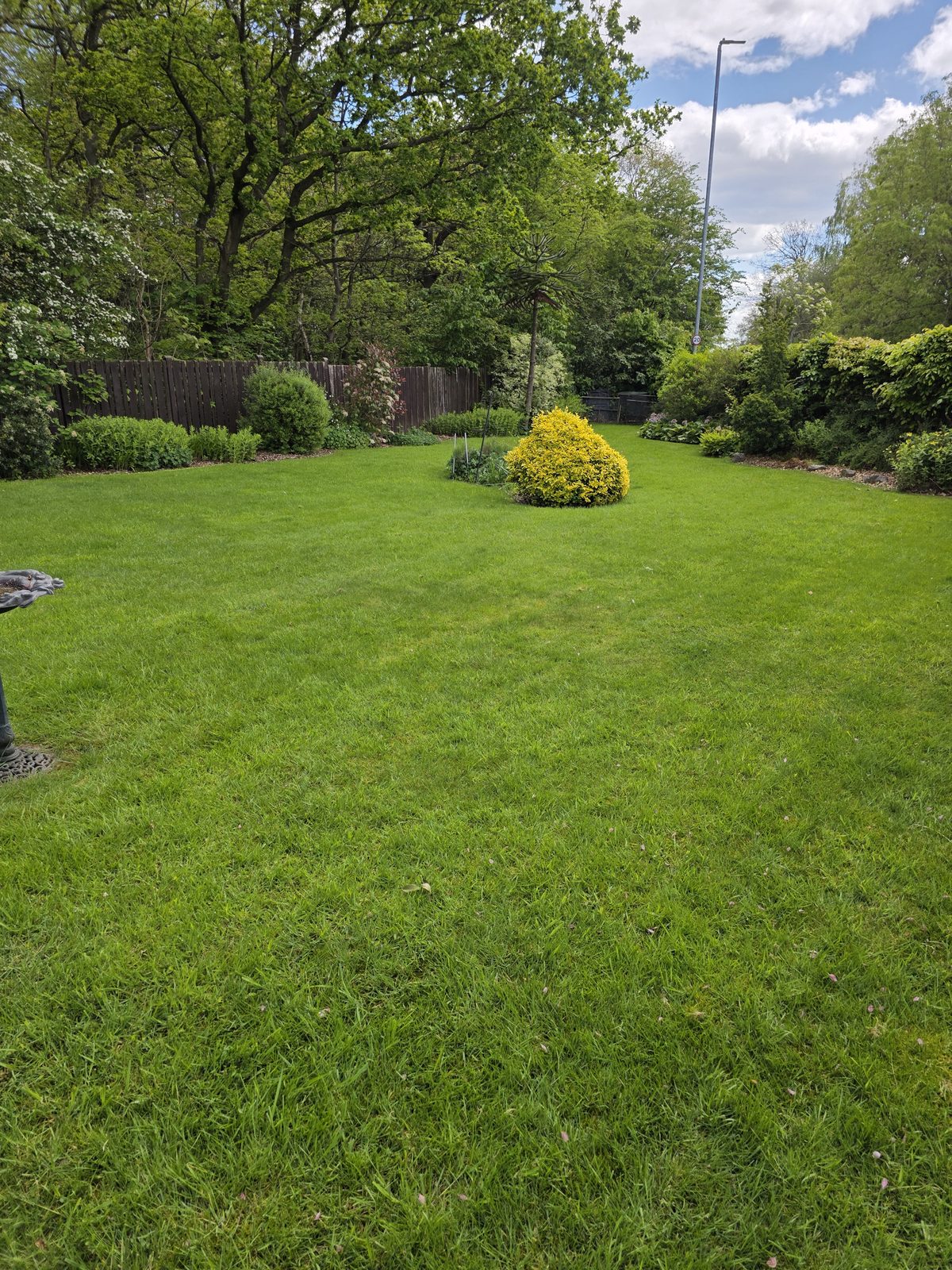 A freshly striped lawn